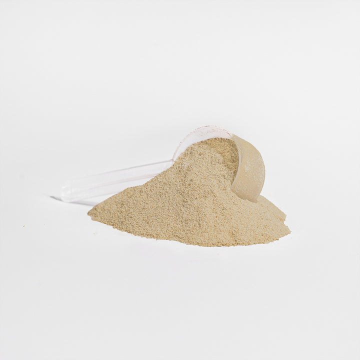 ISO COMPLETE - 100% Whey Protein Isolate (Vanilla)